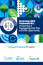 Evolving ESG Frameworks